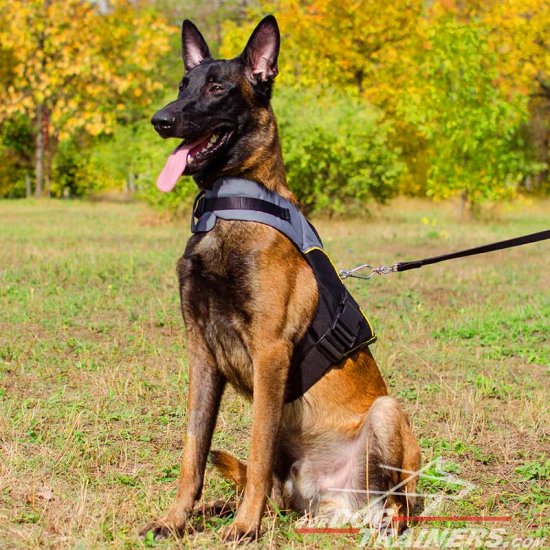 Malinois Nylon Dog Harness for Rehabilitation and Winter Warming