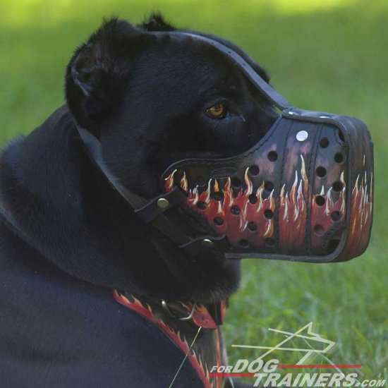 Exclusive Hand Painted "Fire Flames" Cane Corso Dog Muzzle