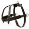 Spanish Mastiff Pulling Leather Dog Harness - Big dog harness