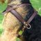 Professional Pulling/Tracking Leather Dog Harness