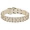 New Fashionable White Leather Dog Collar with Spikes