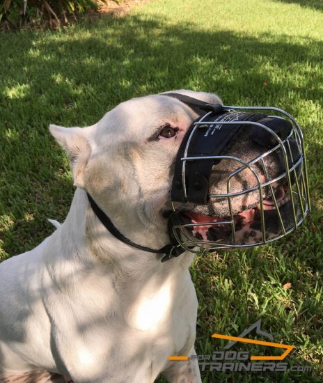 Metal Wire Basket Muzzle with Felt Padded Nose