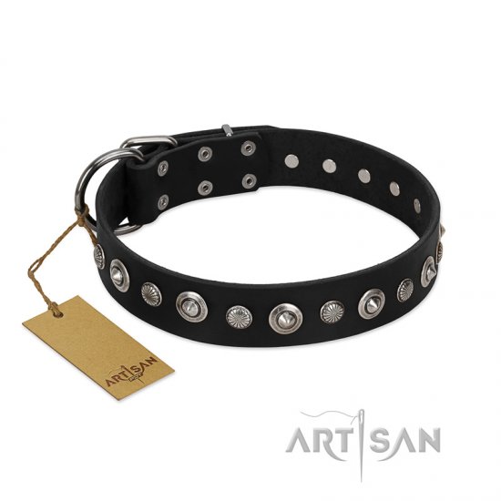 "Genteel Charm" FDT Artisan Black Leather Dog Collar with Silver-like Round Conchos