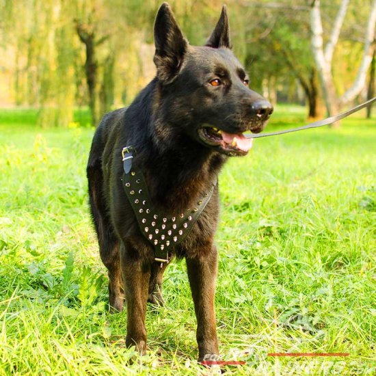 German Shepherd Spiked Dog Harness - Deluxe Best Dog Harness - Click Image to Close