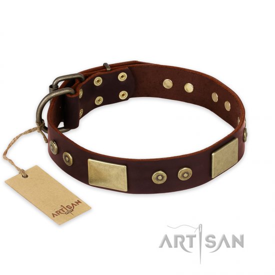 'Shining Armour' FDT Artisan Brown Leather Dog Collar with Decorations - Click Image to Close