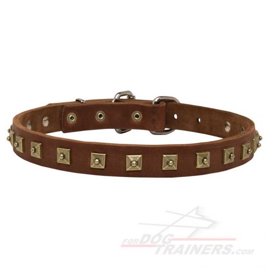 Gorgeous Leather Dog Collar with Square Brass Plated Studs