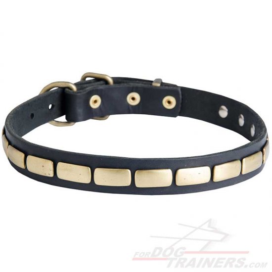 Classy Leather Collar Adorned with Brass Plates for Elegant Dogs