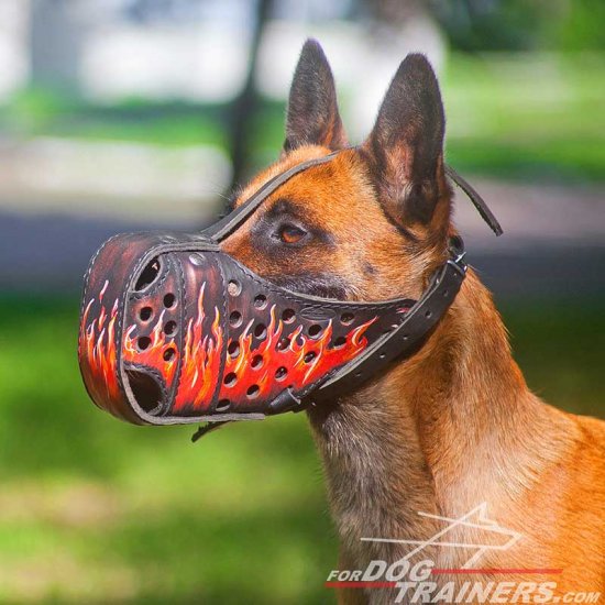 Handpainted Leather Malinois Muzzle with Fire Flames