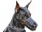 Everyday Light Weight Super Ventilation Doberman muzzle - product code M41