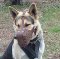 German Shepherd No Bite Leather Muzzle for Dogs
