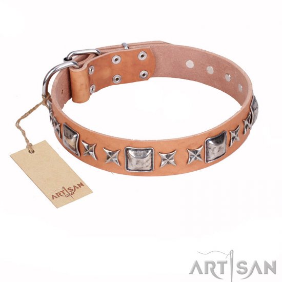 “Silver Chic” FDT Artisan Tan Leather Dog Collar with Silvery-plated Decorations