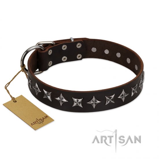 "Stars of Glory" FDT Artisan Brown Leather Dog Collar for Comfortable Walking