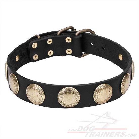 'Hip and Edgy' Leather Dog Collar with Brass Circles