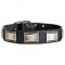 Royal Plated Leather Dog Collar for Walking and Basic Training
