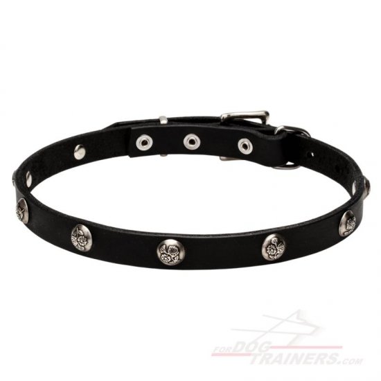 "Lucky" 20 mm Leather Dog Collar with Nickel Plated Engraved Studs