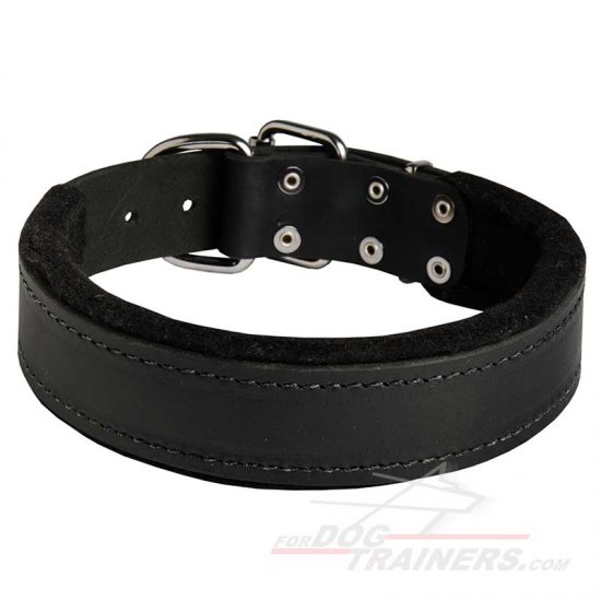 Wide Leather Dog Collar with Felt Padding for Training and Walking