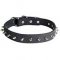 Designer Leather Dog Collar with Nickel Spikes