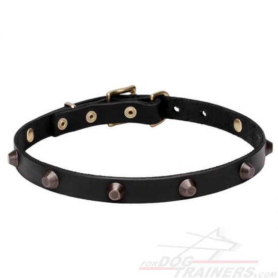 'Age of Style' Leather Dog Collar with Brass Plated Cones