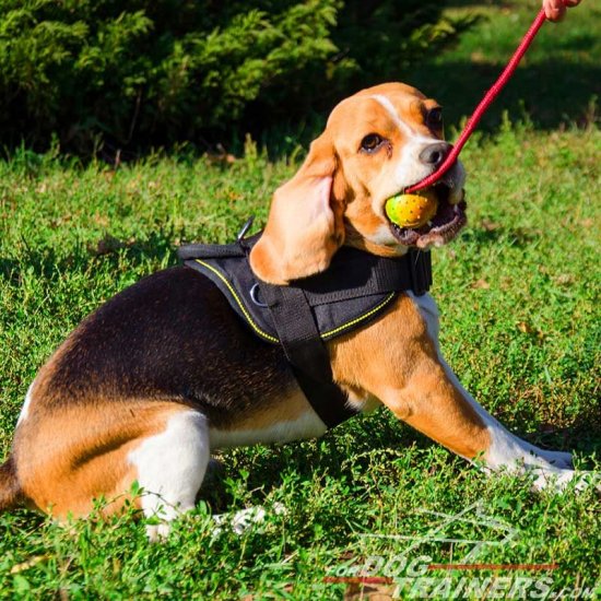 Lightweight Adjustable Nylon Beagle Harness for Pulling, Walking and Training