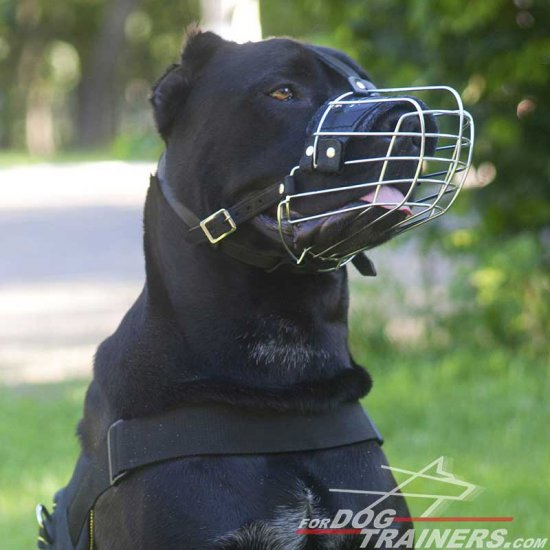 Cane Corso Basket-like Metal Dog Muzzle