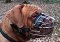 Dogue De Bordeaux Basket Wire Dog Muzzle - M4-Ray