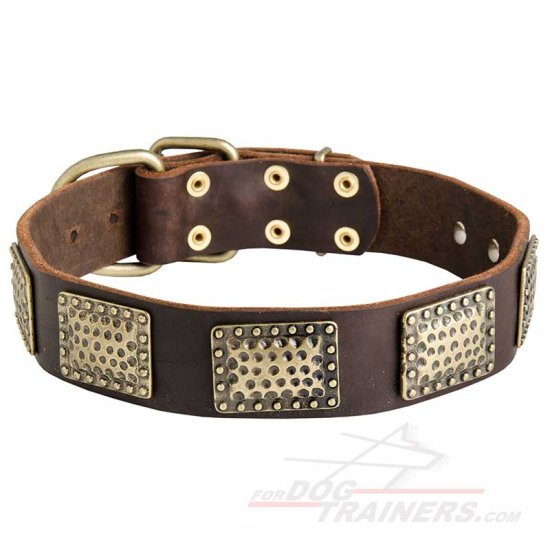 New Gorgeous War Leather Dog Collar with Vintage Look Plates