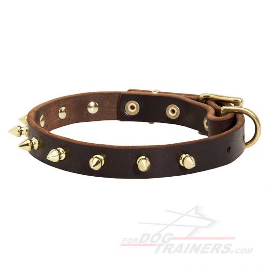 Unique Walking Spiked Leather Collar