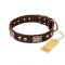 'Pirate Skull' FDT Artisan Brown Leather Dog Collar with Old Silver Look Plates and Skulls - 1 1/2 inch (40 mm) wide