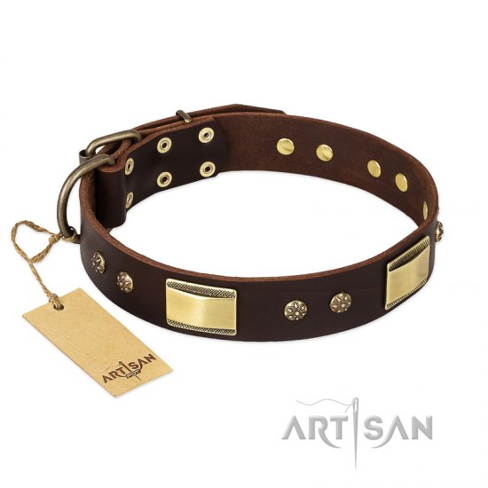 FDT Artisan 'Rich Fashion' Decorated Leather Dog Collar with Plates and Studs - 1 1/2 inch (40 mm) wide