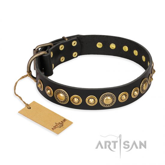 'Gold Mine' FDT Artisan Black Leather Dog Collar with Amazing Bronze-Plated Round Studs