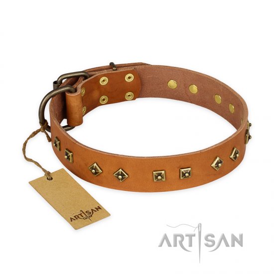 ‘Autumn Story’ FDT Artisan Leather Dog Collar with Old Bronze Look Studs - 1 1/2 inch (40 mm) wide