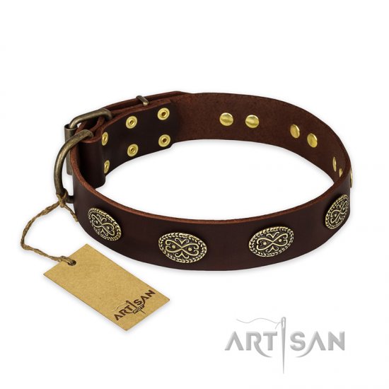 ‘Chocolate kiss’ FDT Artisan Leather Dog Collar with Old Bronze Look Oval Plates - 1 1/2 inch (40 mm) wide - Click Image to Close