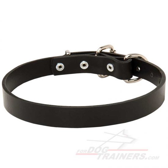 Thin Leather Dog Collar 1 inch (2.5cm) width - Click Image to Close