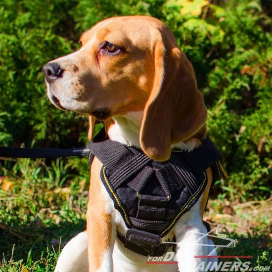 Brand New Multifunctional Nylon Beagle Harness
