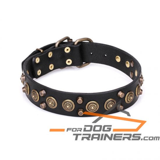 'Regal Heritage' Funky Leather Collar for Dog with Brass Plated Pyramids and Old Bronze-Like Studs 1 1/2 inch wide