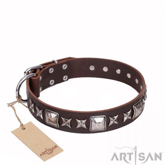 'Perfect Impression' FDT Artisan Brown Leather Dog Collar with Silvery Square Studs - 1 1/2 inch (40 mm) Wide