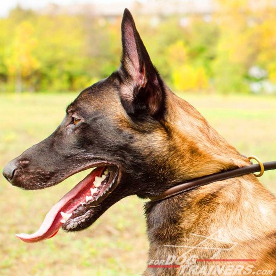 Malinous Round Leather Silent Choke Collar for Training