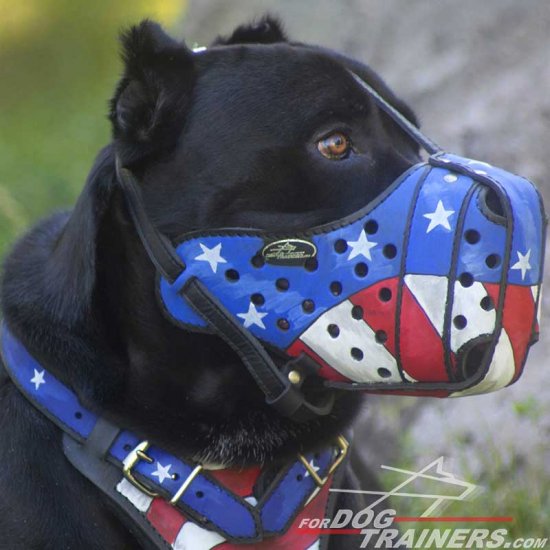 Patriotic "American Flag" Hand Painted Leather Dog Muzzle for Cane Corso