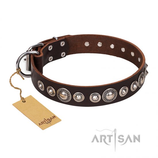 ‘Step and Sparkle’ FDT Artisan Glamorous Studded Brown Leather Dog Collar
