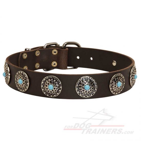 Classy Leather Dog Collar with Silver-like Conchos and Blue Stones