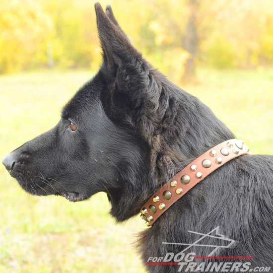 Fashion German Shepherd Leather Dog Collar with Pyramids and Studs