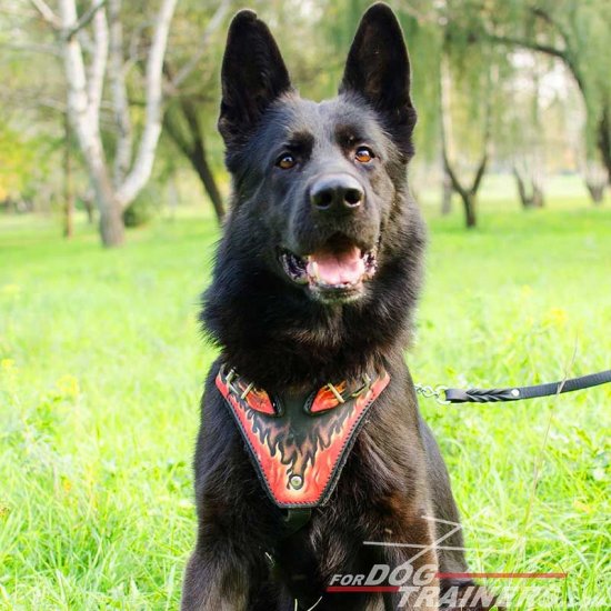 German Shepherd Red Flames Painted Leather Dog Harness for Attack/Agitation Training