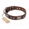 ‘Sparkling Bronze’ FDT Artisan Genuine Leather Dog Collar with Bronze Look Stars and Plates - 1 1/2 inch (40 mm) wide