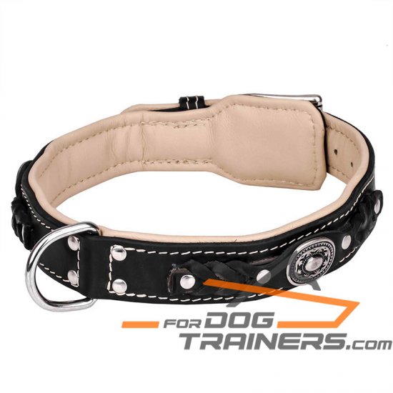 'Soft as Down' Royal Nappa Padded Hand Made Leather Dog Collar