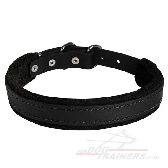 Felt Padded Leather Dog Collar with Strong Hardware