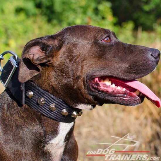 Awesome Design Nylon Pitbull Collar with Silver-Like Pyramids