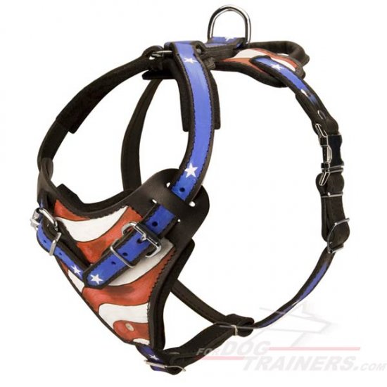 Handpainted Leather Dog Harness for Attack Training and Walking