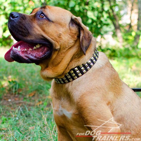 Wide 3 Rows Nickel Pyramids Leather Cane Corso Collar - Click Image to Close