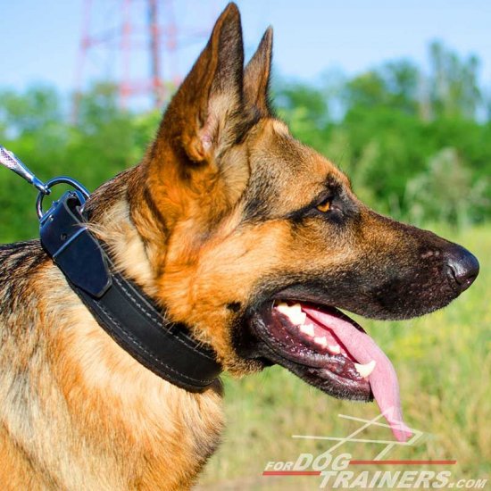 German Shepherd Leather Agitation Dog Collar for Comfortable Training