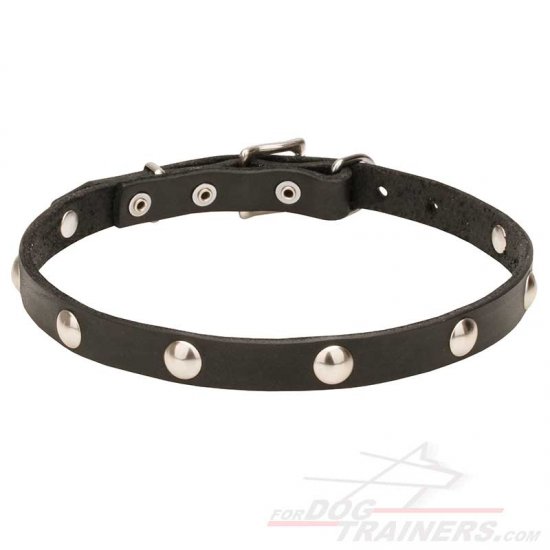 "Shiny Necklace" Leather Dog Collar with Studs - 3/4 Inch (20 mm) - Click Image to Close